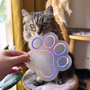 suncatcher kočičí tlapka