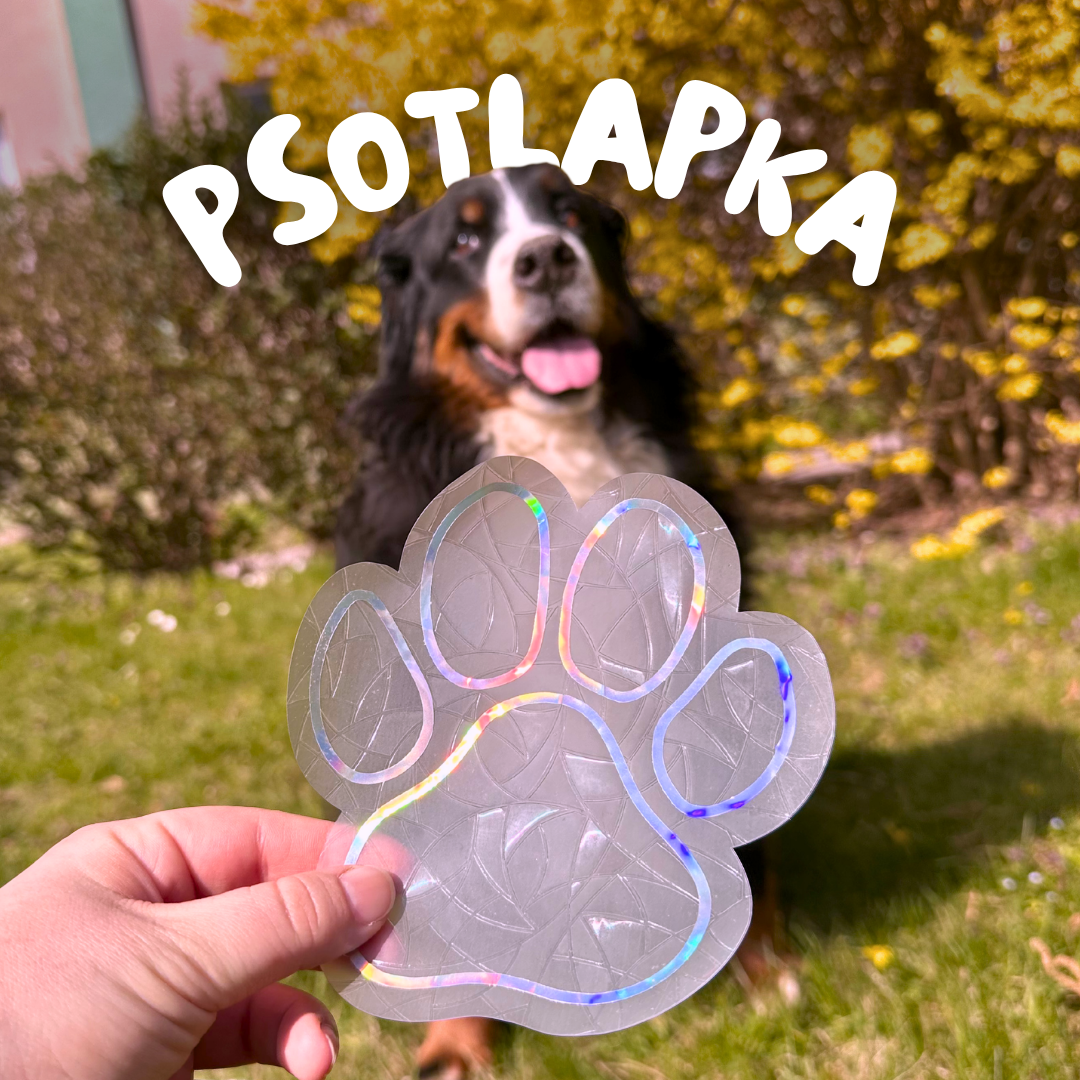 suncatcher psí tlapka - Obrázek 3